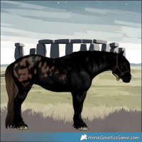 Horse Color:Void Brown Appaloosa 