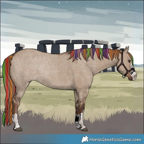 Horse Color:Painted Liver Red Dun Rabicano 