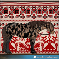 Horse Color:Void Brown Dun Near Leopard 