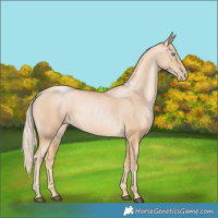 Horse Color:Palomino Pearl