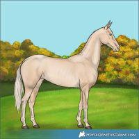 Horse Color:Palomino Snowdrop 