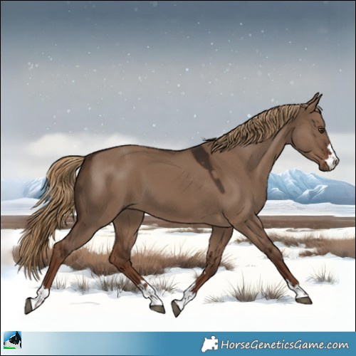 Horse Color:Liver Red Dun