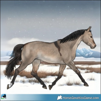 Horse Color:Bay Dun