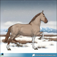 Horse Color:Liver Red Dun Tobiano