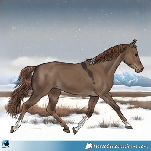 Horse Color:Liver Red Dun Tobiano 