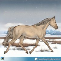 Horse Color:Chocolate Palomino Dun 