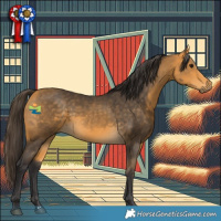 Horse Color:Buckskin