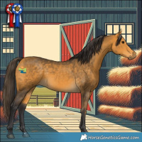 Horse Color:Buckskin 