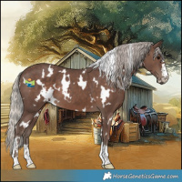 Horse Color:White Spotted Silver Black 