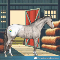 Horse Color:Liver Red Dun Snowcap Brindle 