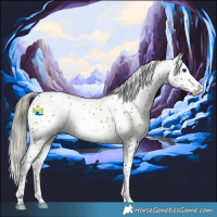 Horse Color:Liver Chestnut Mushroom Sabino 