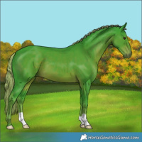 Horse Color:Watercolor Liver Chestnut 