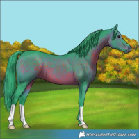 Horse Color:Watercolor Brown 