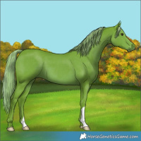 Horse Color:Watercolor Liver Chestnut 