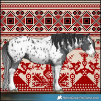 Horse Color:Black Sabino Splash Near Leopard 