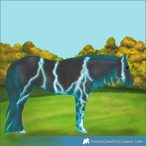 Horse Color:Thunderstruck Smoky Black 