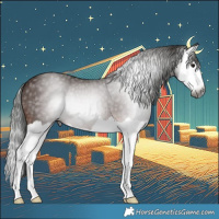Horse Color:Gray Bay Splash