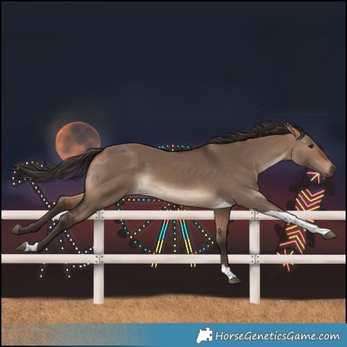 Horse Color:Bay Dun Tobiano
