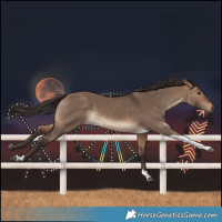 Horse Color:Bay Dun Tobiano 