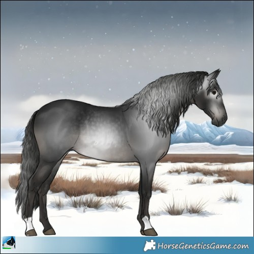 Horse Color:Gray Black Rabicano