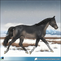 Horse Color:Black Tobiano Rabicano 