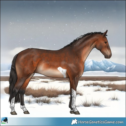 Horse Color:Brown Tobiano Rabicano 