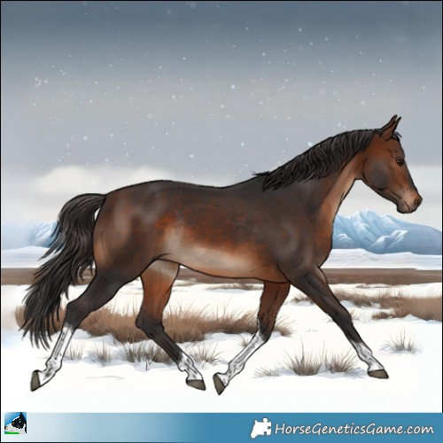Horse Color:Brown Tobiano Rabicano 