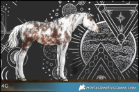 Horse Color:Silver Brown Sabino 