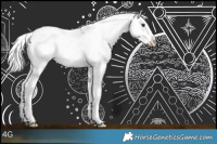 Horse Color:Silver Bay Sabino Rabicano 