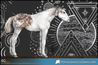 Horse Color:Liver Chestnut Sabino Rabicano 