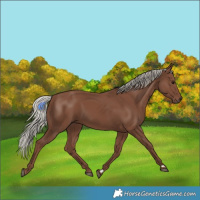 Horse Color:Silver Black