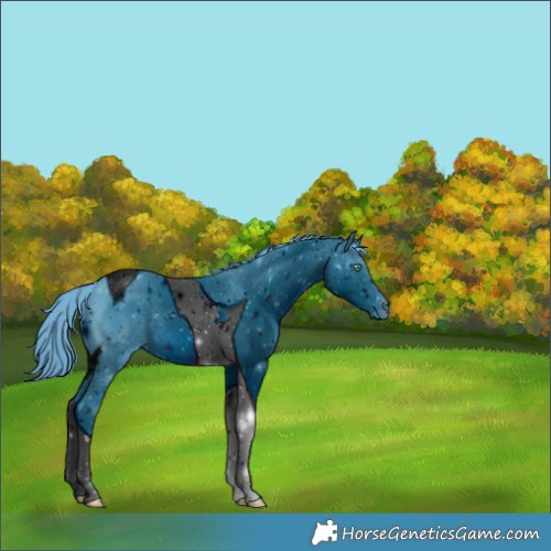 Horse Color:ERROR: UNKNOWN ANOMALY