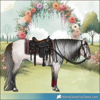 Horse Color:Gray Buckskin Roan 