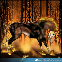 Horse Color:Void Bay Tobiano 