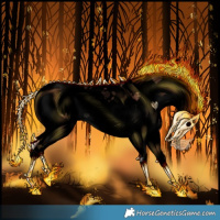 Horse Color:Void White Spotted Chocolate Bay Onyx Splash Appaloosa 