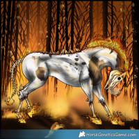 Horse Color:Gray Brown Onyx Splash Tobiano