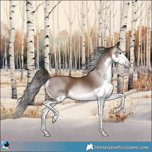 Horse Color:Gray Classic Champagne Splash Rabicano