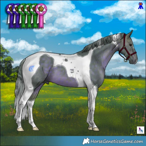 Horse Color:Watercolor Chocolate Brown Tobiano 