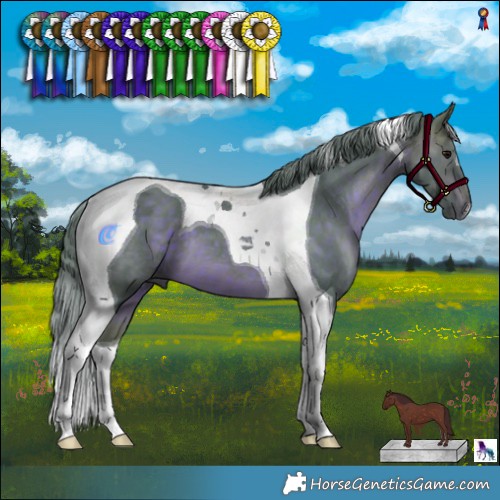 Horse Color:Watercolor Chocolate Brown Tobiano 