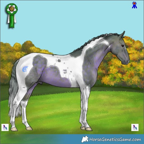 Horse Color:Watercolor Chocolate Brown Tobiano 