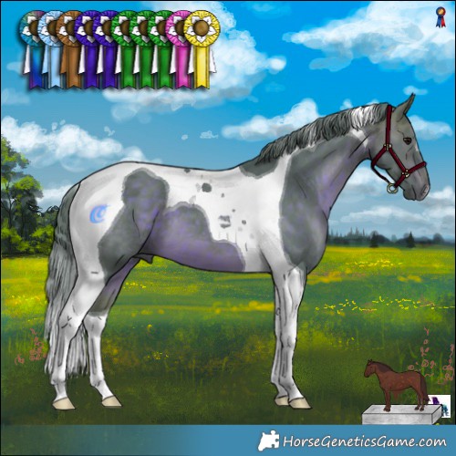 Horse Color:Watercolor Chocolate Brown Tobiano 