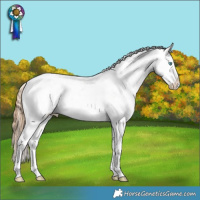 Horse Color:Grullo Snowdrop Pearl Tobiano Varnish 