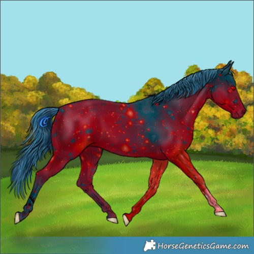 Horse Color:ERROR: UNKNOWN ANOMALY