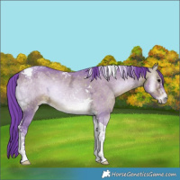 Horse Color:Watercolor Bay Ice Onyx Tobiano