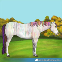 Horse Color:Painted White Spotted Buckskin Ice 