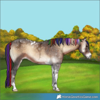 Horse Color:Painted Brown Ice Onyx Tobiano 