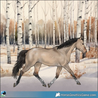 Horse Color:Bay Dun Sabino Tobiano 