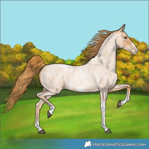 Horse Color:Red Roan Pearl Tobiano Frame