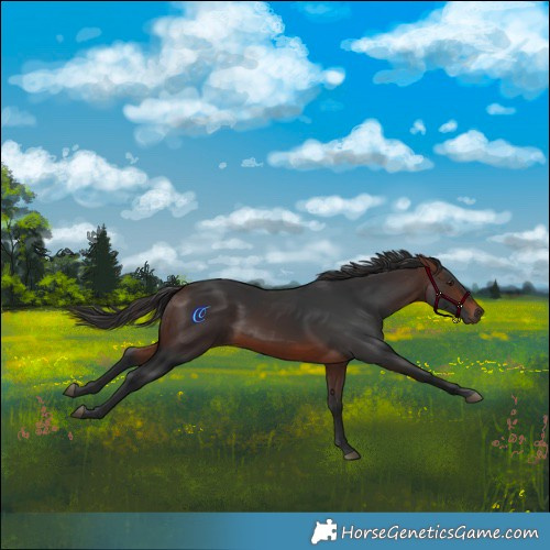 Horse Color:Brown 