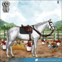 Horse Color:Gray White Spotted Silver Bay Sabino Splash Rabicano 